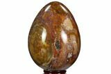 Colorful, Polished Petrified Wood Egg - Triassic #107400-1